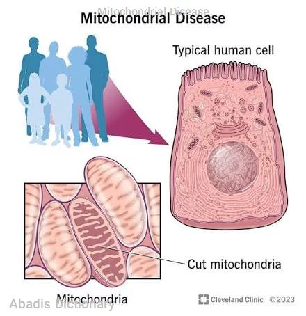 mitochondrial disease